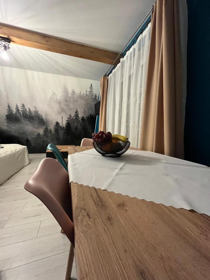 U Babci Na Strychu Apartment Zakopane Ngoại thất bức ảnh
